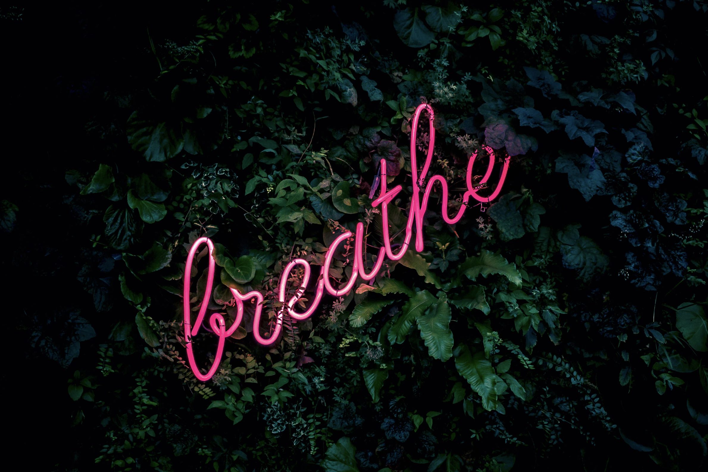 Breathe! The most important thing to do when you are anxious.